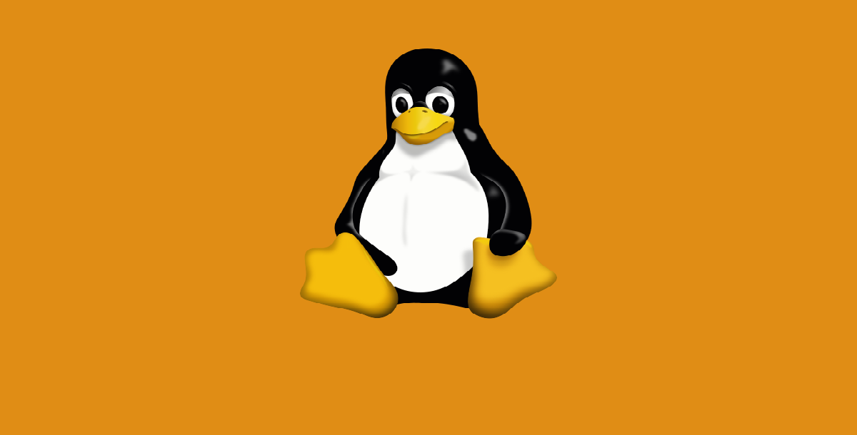 كيف تؤهلك الشبكات للعمل في بيئات Linux والسيرفرات؟